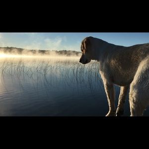 Meet your Posher, Todd